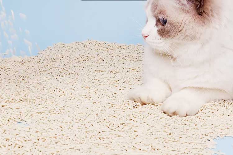 cat litter small particles