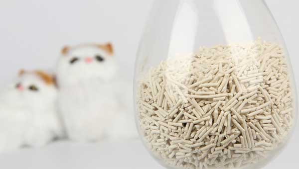 Difference Between Pea Cat Litter And Soybean Cat Litter